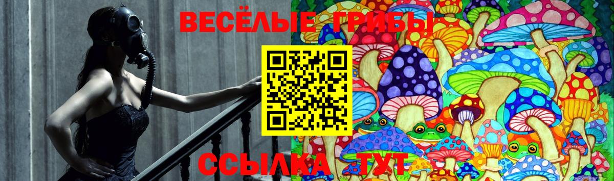 Галлюциногенные грибы GOLDEN TEACHER Ишимбай